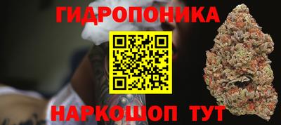 mdpv Заводоуковск