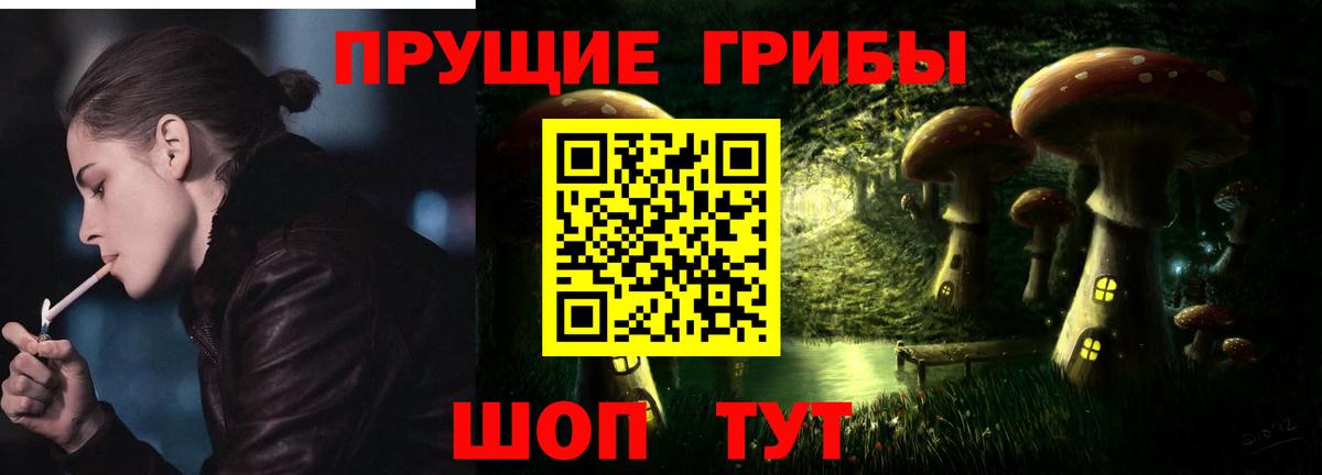 Галлюциногенные грибы Psilocybine cubensis  Вход с VPN  Людиново 